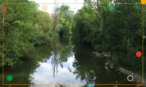 Descubriendo las plantas del parque fluvial