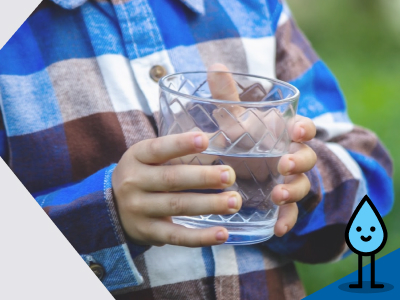 El agua en nuestra vida