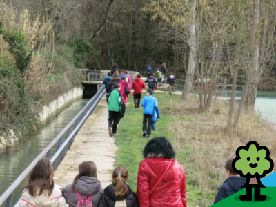 El agua mueve molinos