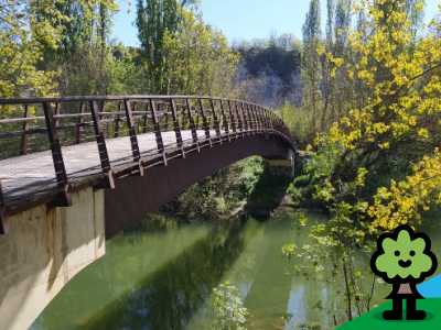 Las estaciones del río