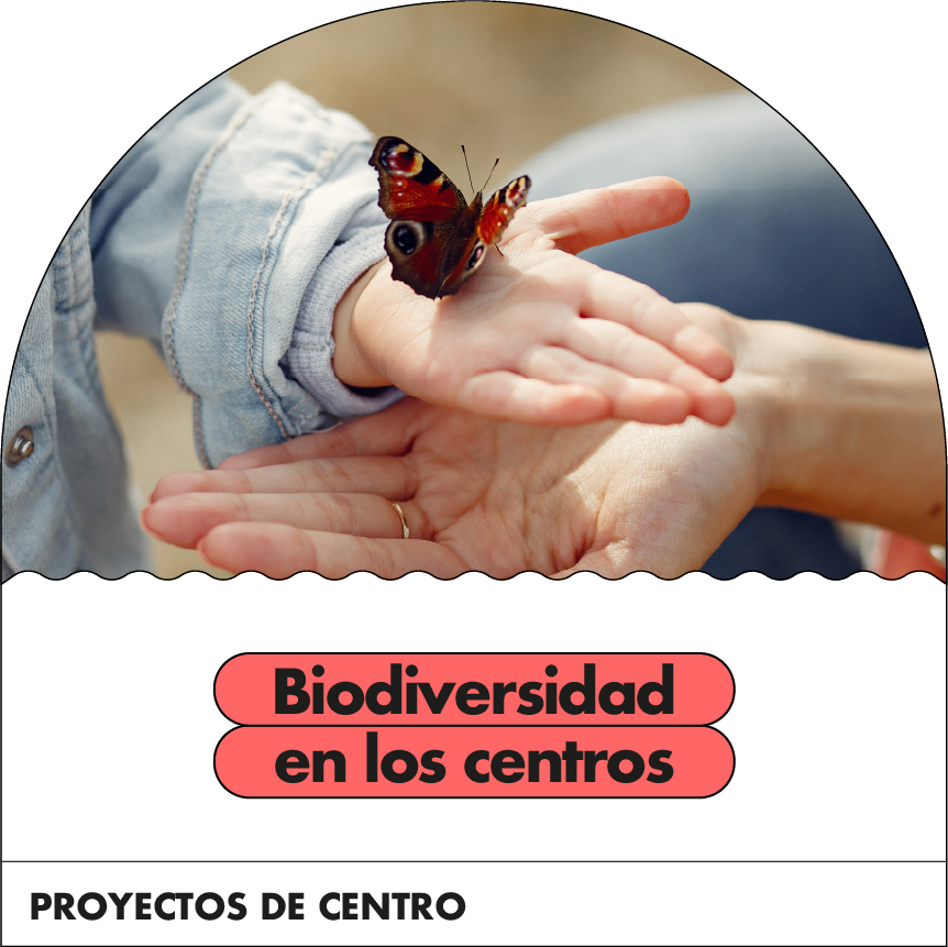 Proyecto biodiversidad en los centros