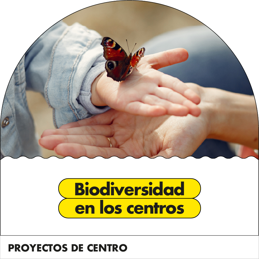 Proyecto biodiversidad en los centros