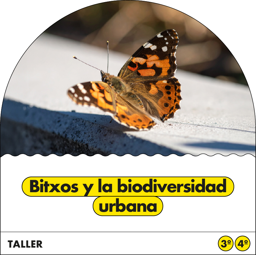 Bitxos y la biodiversidad urbana