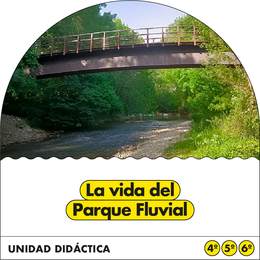 La vida del parque fluvial