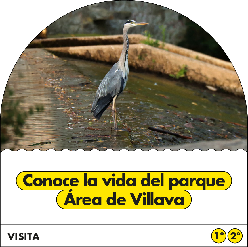 Conoce la vida del parque area de villava