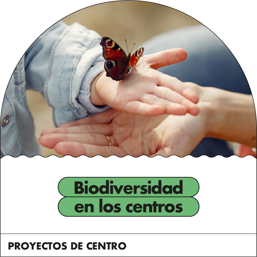 Proyecto biodiversidad en los centros
