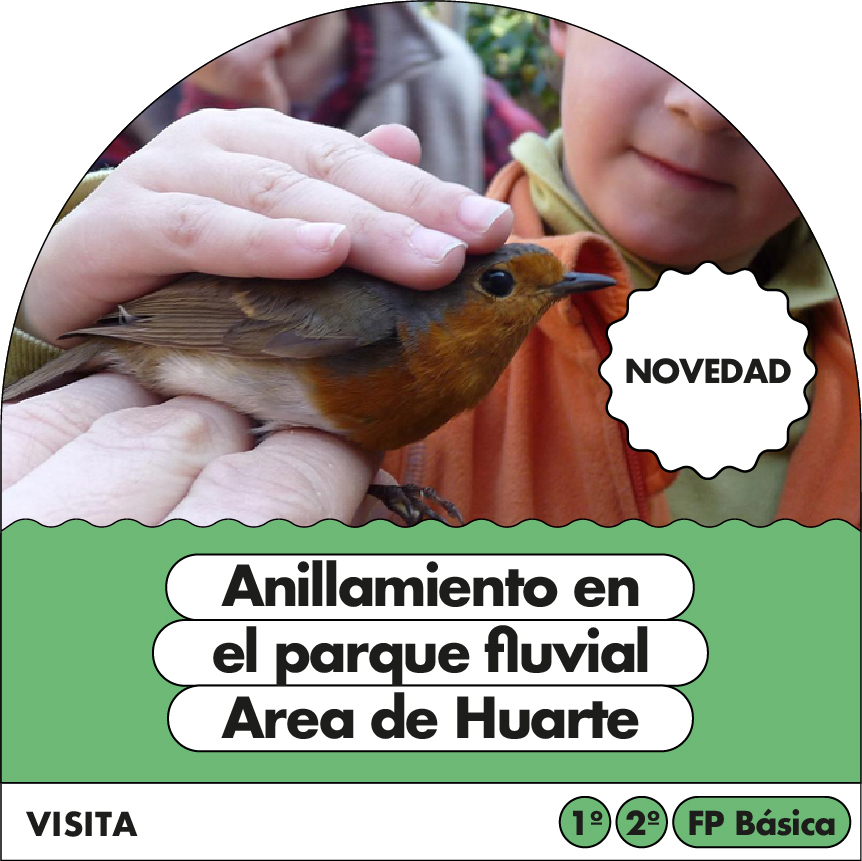 Anillamiento en el Parque Fluvial: Área de Huarte