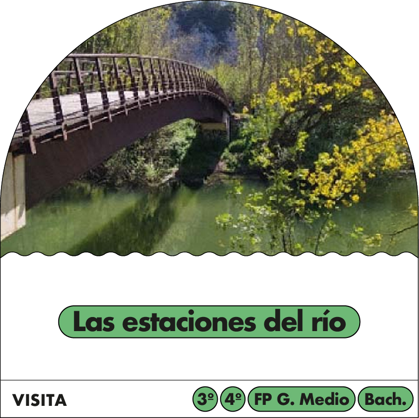 Las estaciones del rio