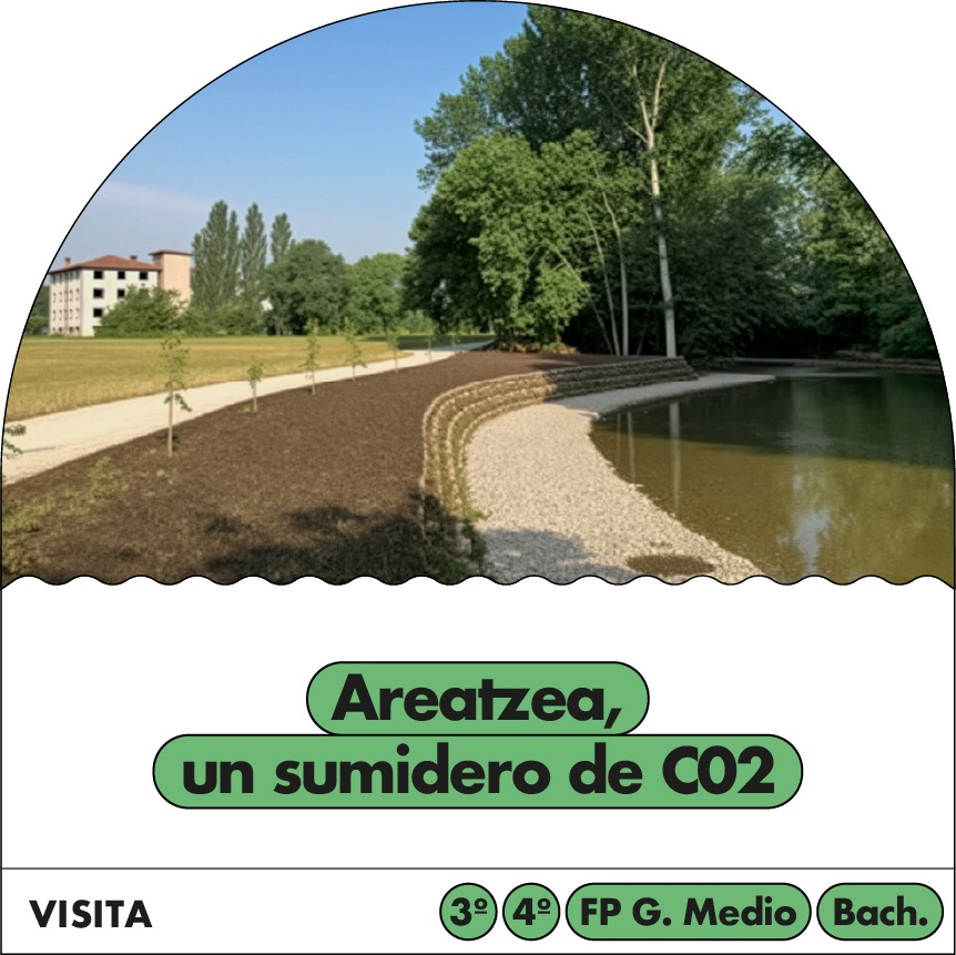 Areatzea un sumidero de co2
