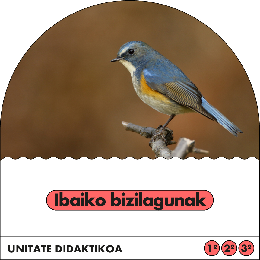 Ibaiko bizilagunak