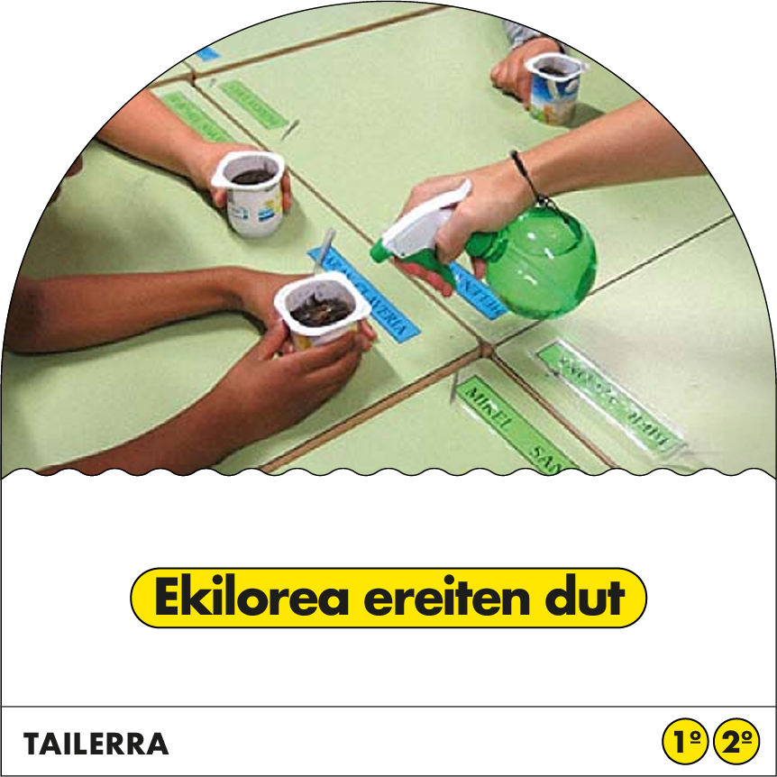 Ekilorea ereiten dut