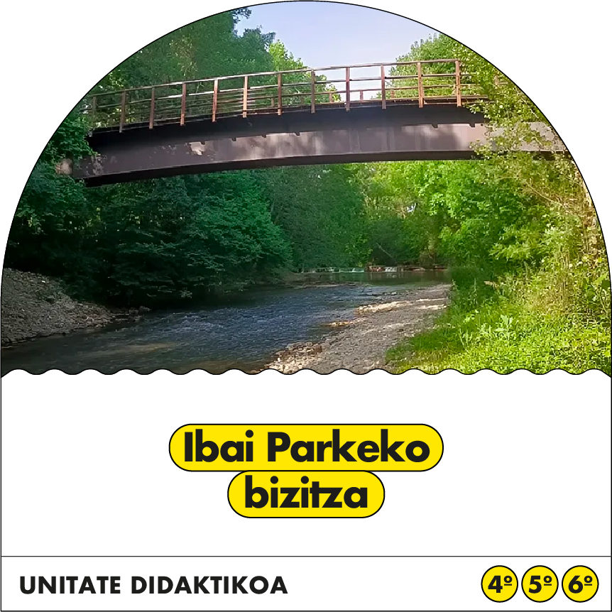 Ibai parkeko bizitza