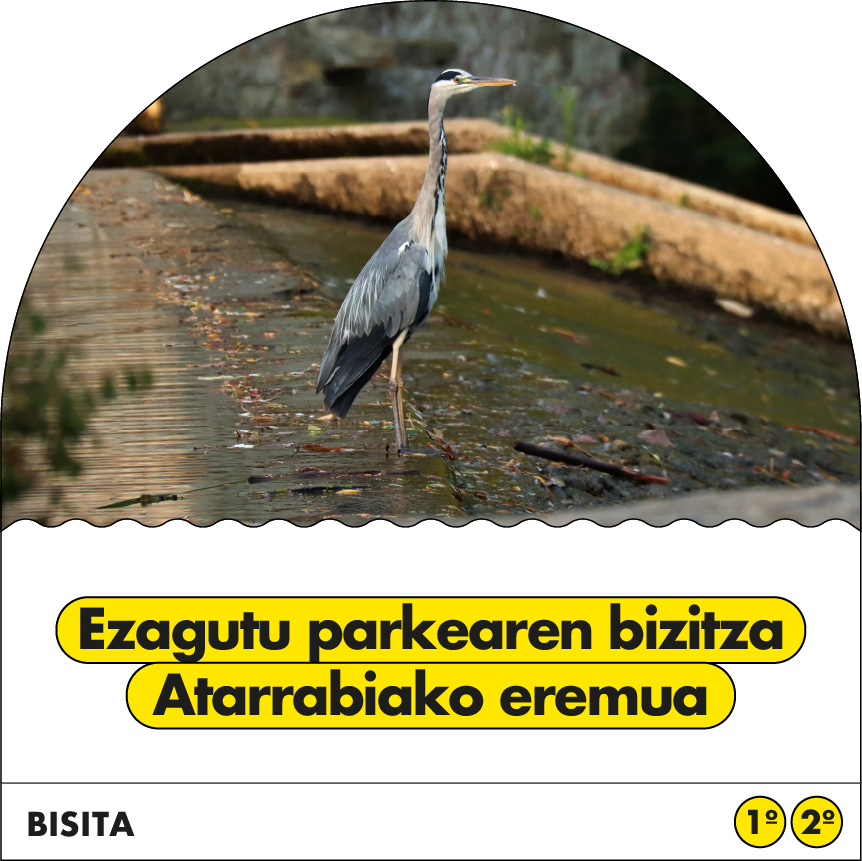 Ezagutu parkearen bizia atarrabiako eremua