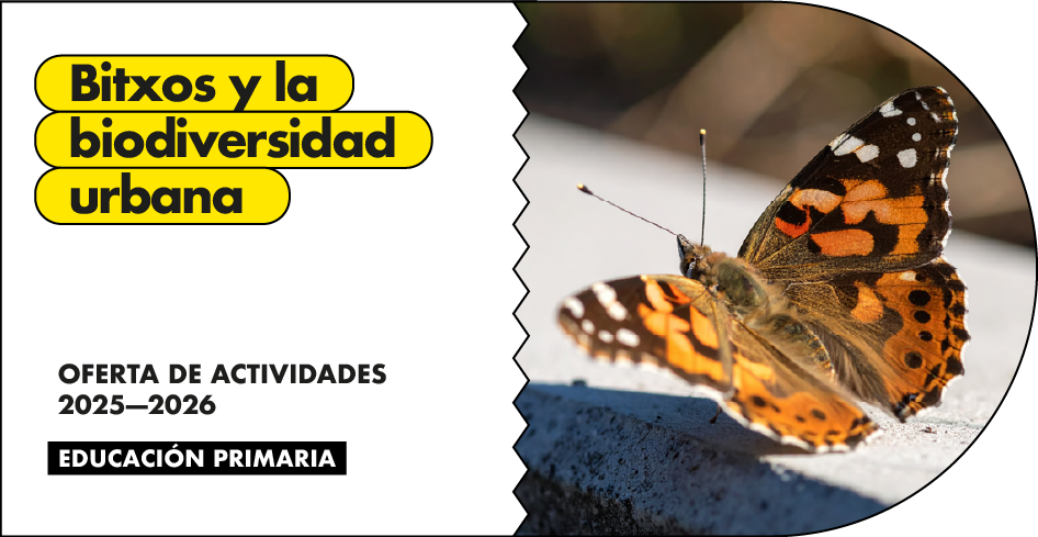 Bitxos y la biodiversidad urbana