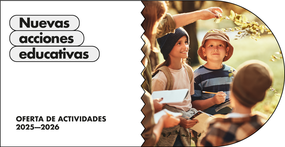 Nuevas acciones educativas en Mancoeduca