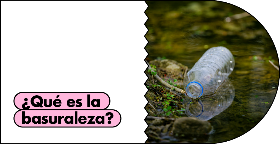 ¿Qué es la basuraleza?