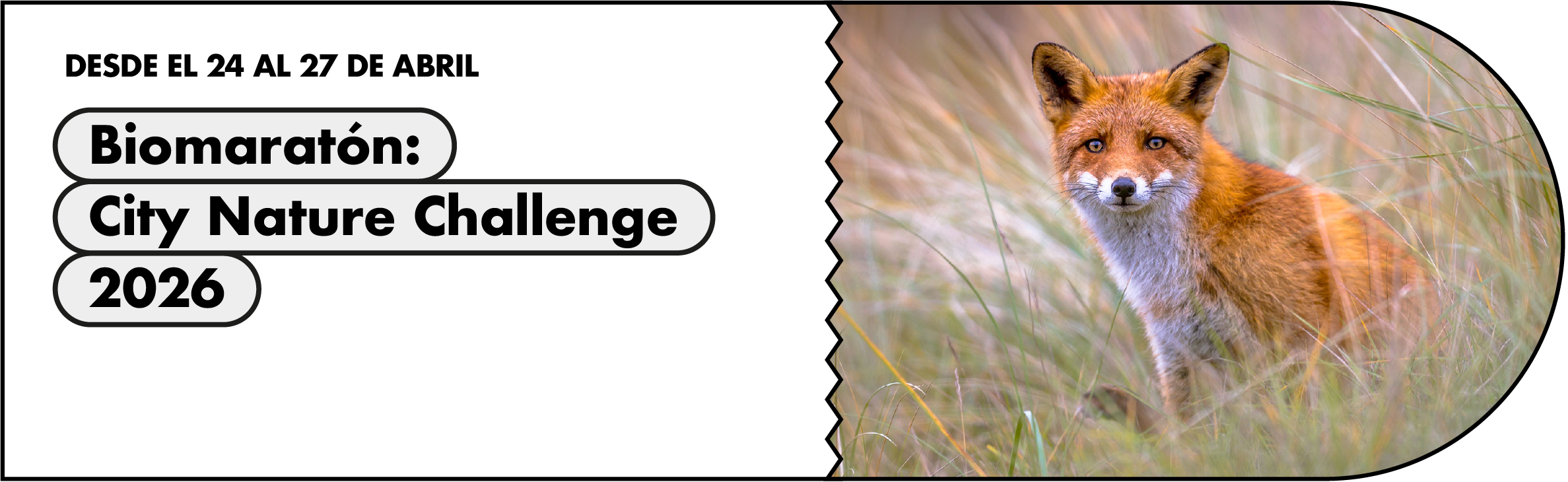 Biomaratón 2026: ciencia ciudadana para descubrir la biodiversidad urbana